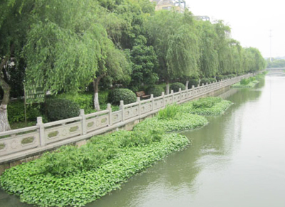 海宁市区河道生态修复 科技与绿色的融合之路