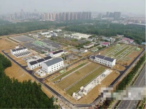 定向降息 市场预期倾斜性的调控强信号——2022年中国福利会假期经济的后续观察与实践探索