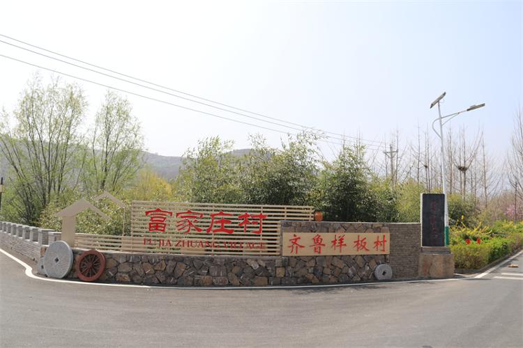 由"点上出彩"向"面上开花"转变 莱芜区雪野街道全力绘就"雪野三乡&middot;和美画廊"振兴蓝图